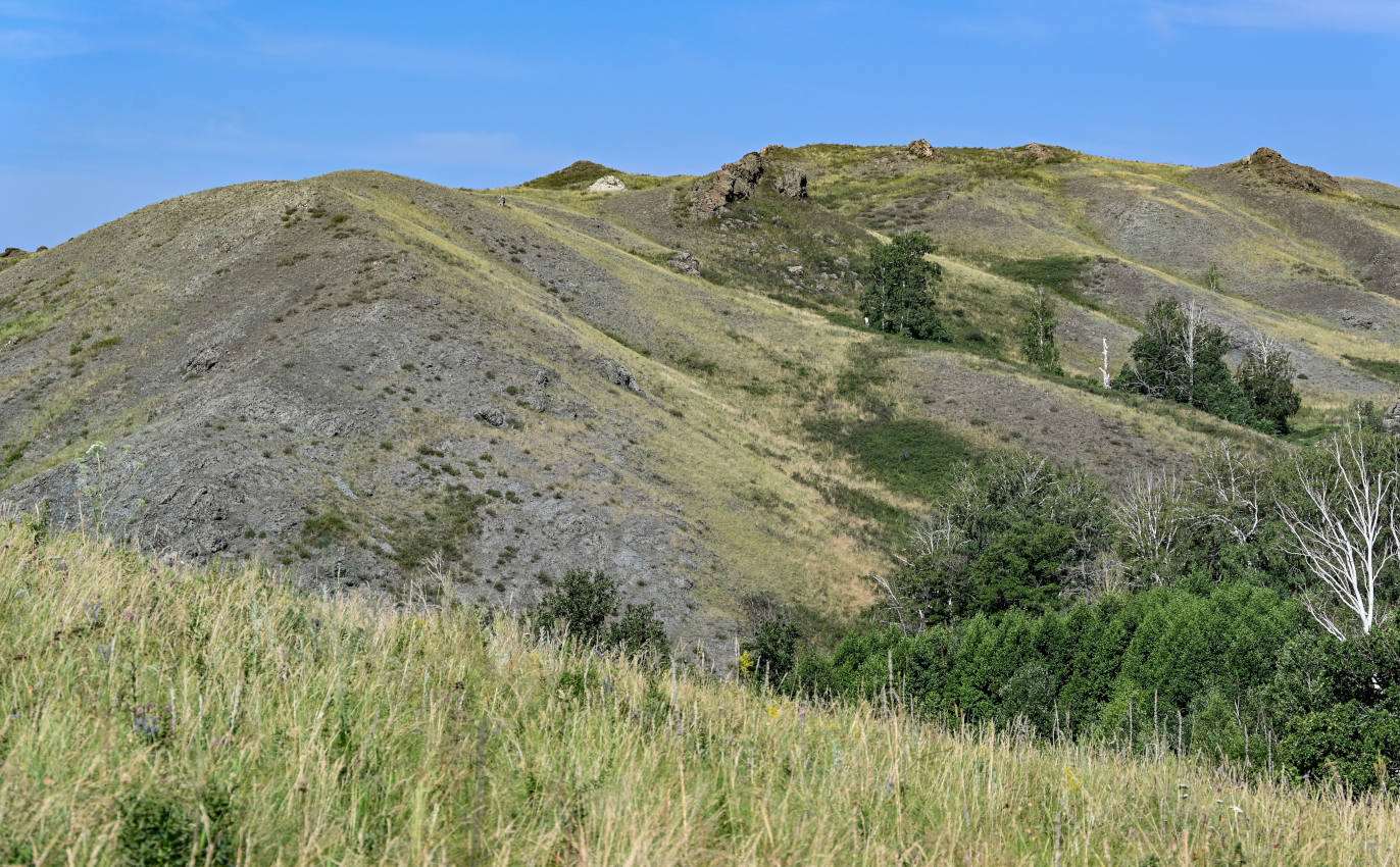 Первое Юмагузино, image of landscape/habitat.