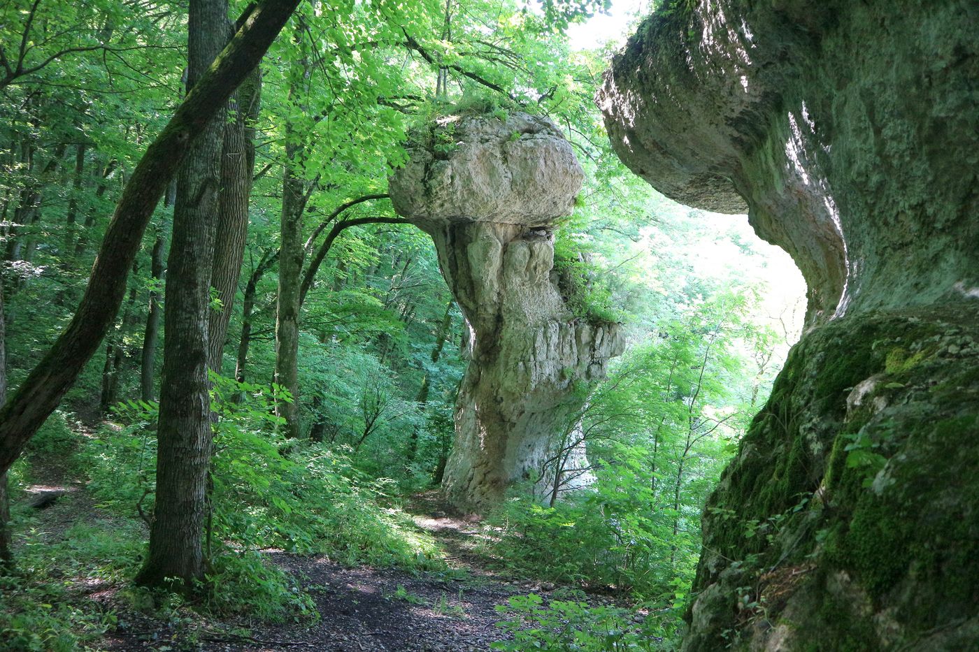 Уруп у хутора Ильич, image of landscape/habitat.