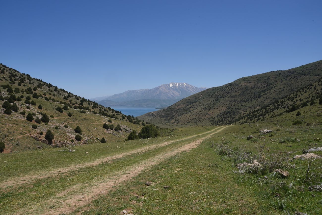 Окрестности Кармраванк, image of landscape/habitat.