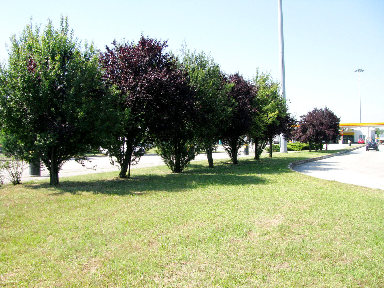 Венеция, image of landscape/habitat.