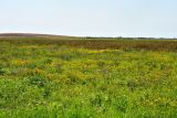 Image of landscape