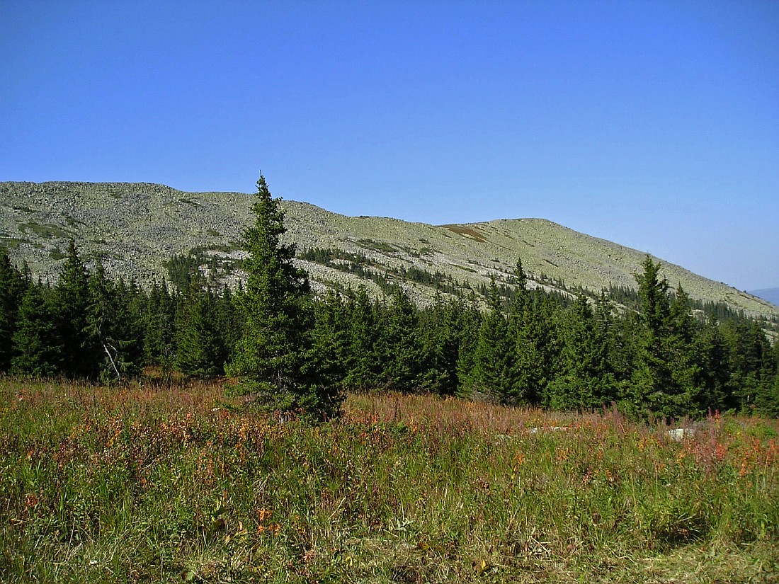 Большой Иремель, image of landscape/habitat.