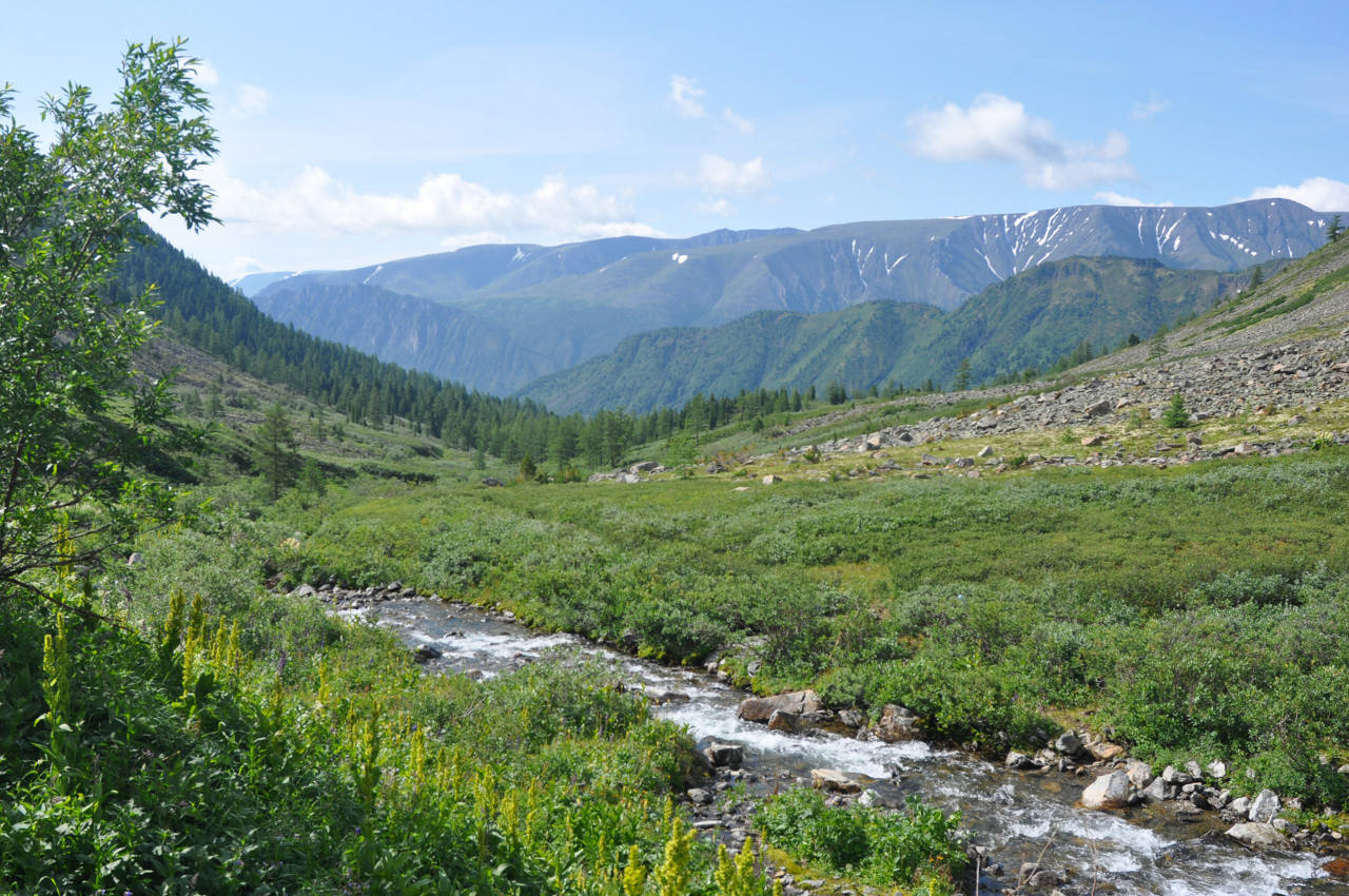 Долина реки Аршан, изображение ландшафта.