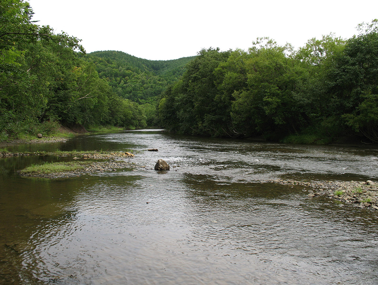 Томари, image of landscape/habitat.