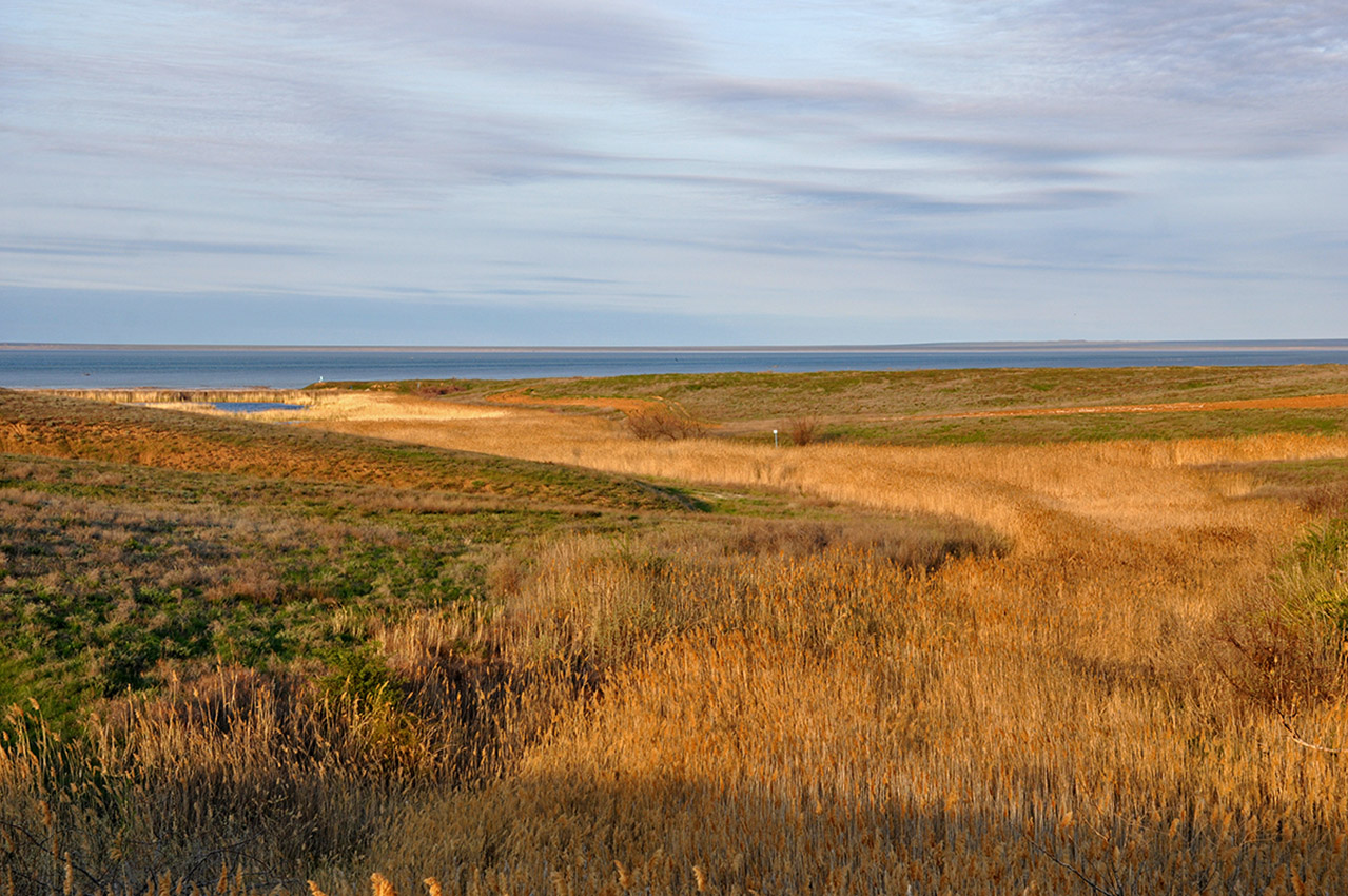 Кордонная балка, image of landscape/habitat.