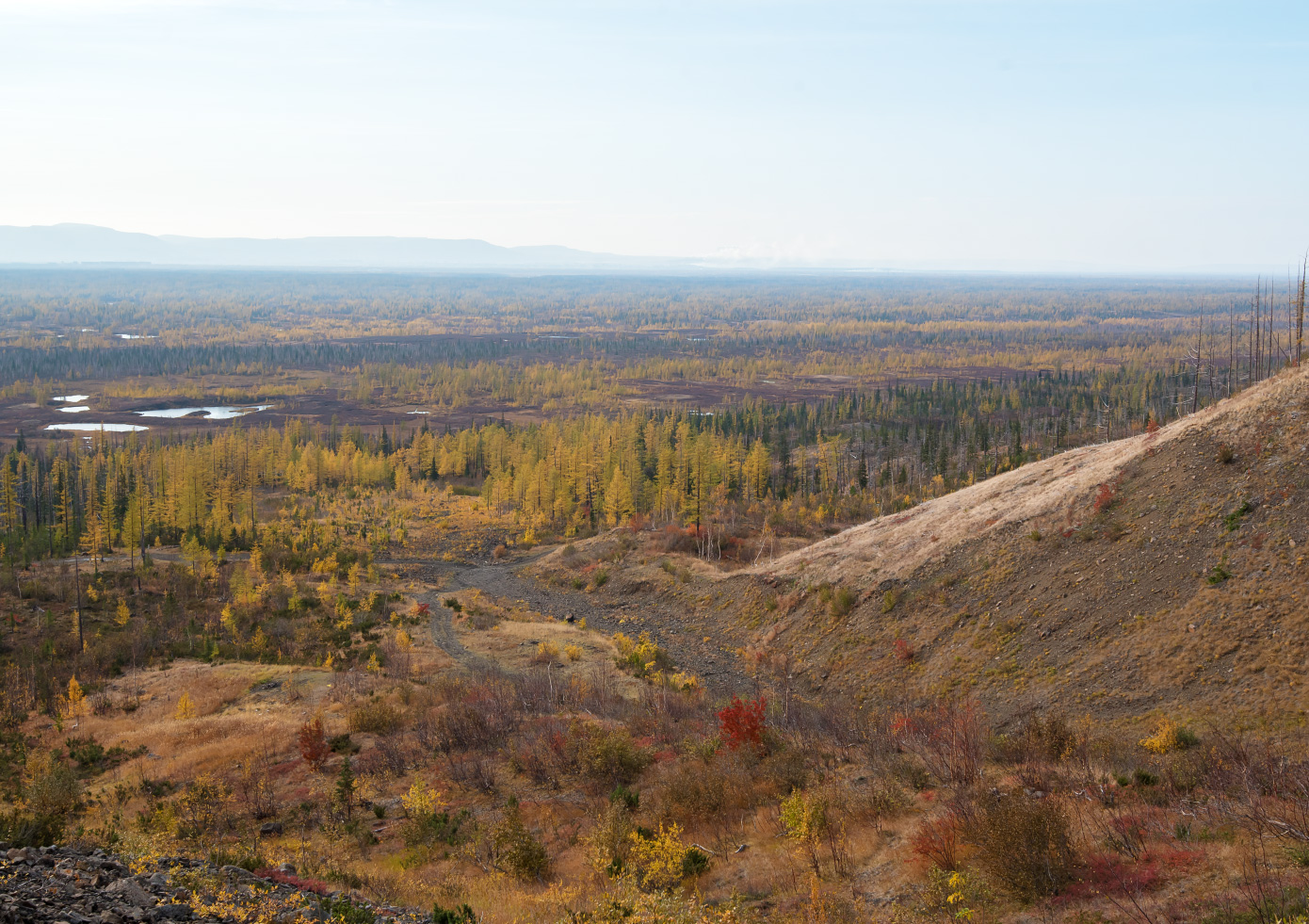 Окрестности района Талнах, image of landscape/habitat.