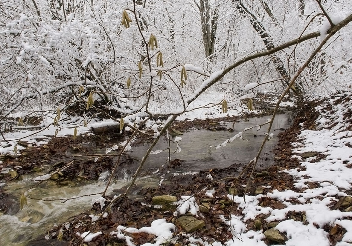 Темрючки, image of landscape/habitat.