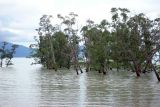 Национальный парк "Бако", image of landscape/habitat.