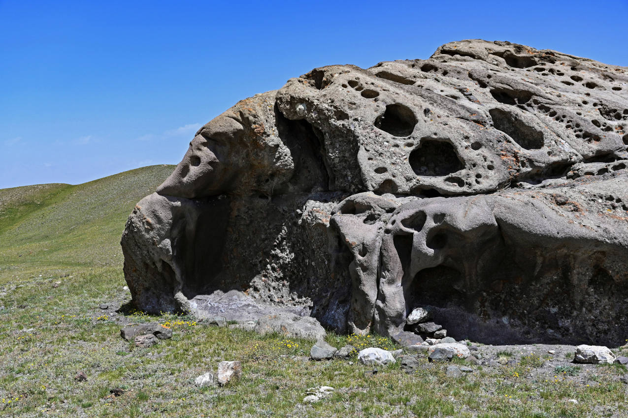 Озеро Тулпар-Кёль, image of landscape/habitat.