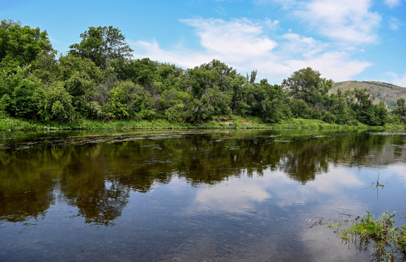 Заповедник "Шайтан-Тау", image of landscape/habitat.