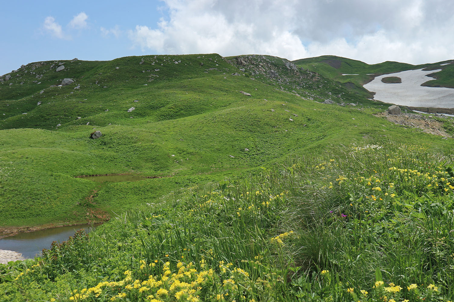 Карстовое двуозёрье, image of landscape/habitat.