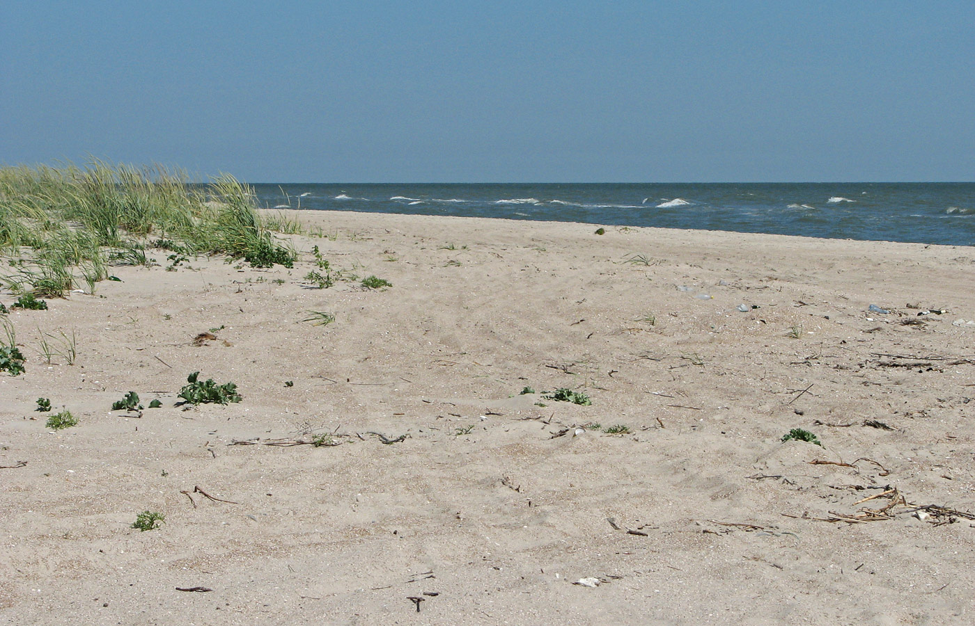 Белосарайская коса, image of landscape/habitat.