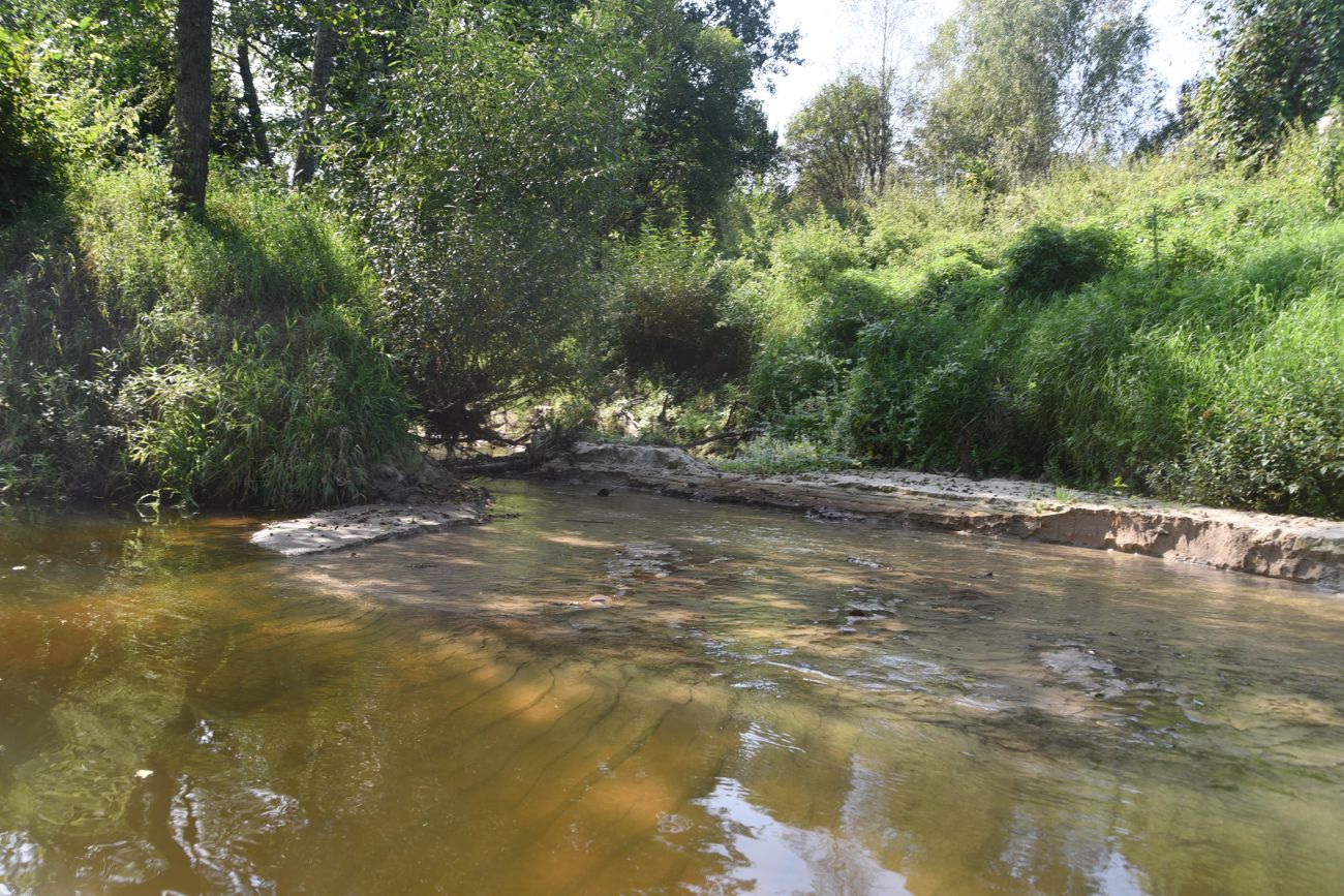 Устье ручья Полянка, image of landscape/habitat.