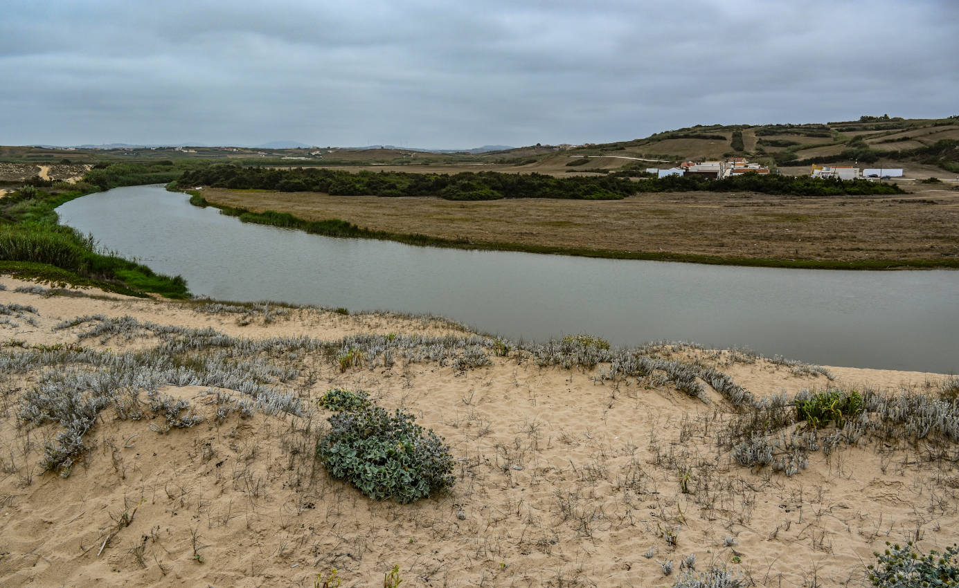 Устье реки Сизандру, изображение ландшафта.