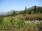 Landscape image