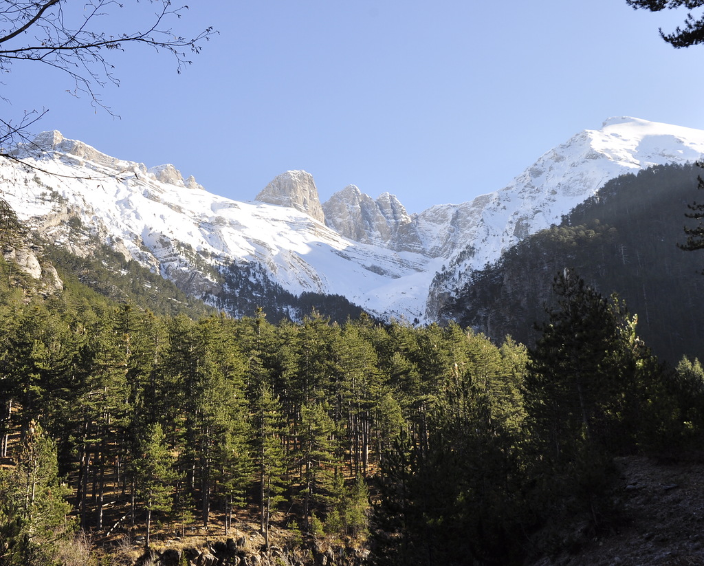 Олимп, image of landscape/habitat.