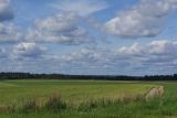 Image of landscape