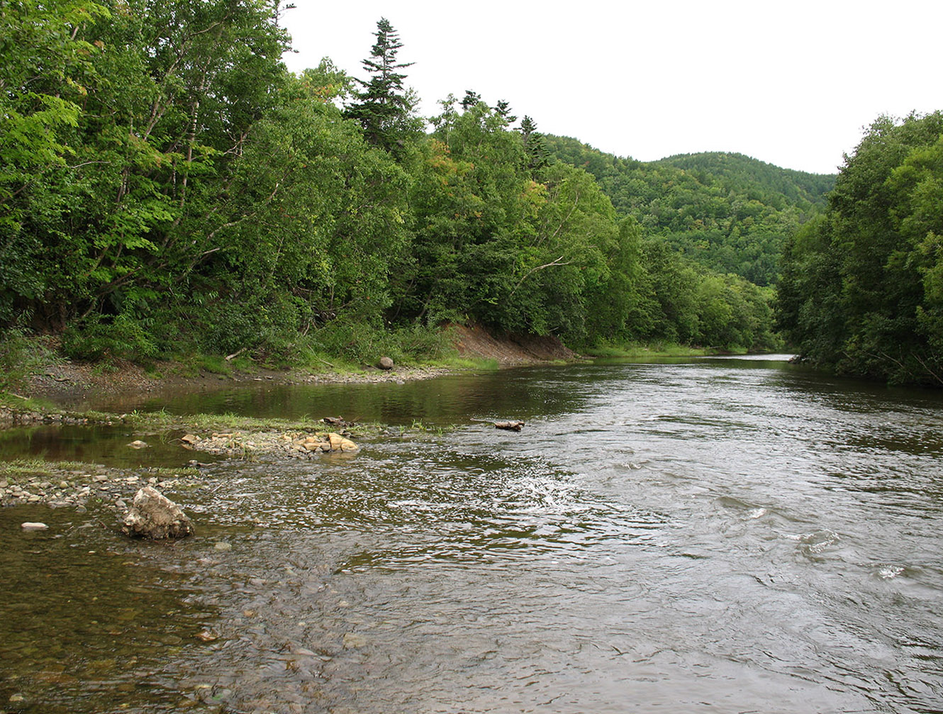 Томари, image of landscape/habitat.