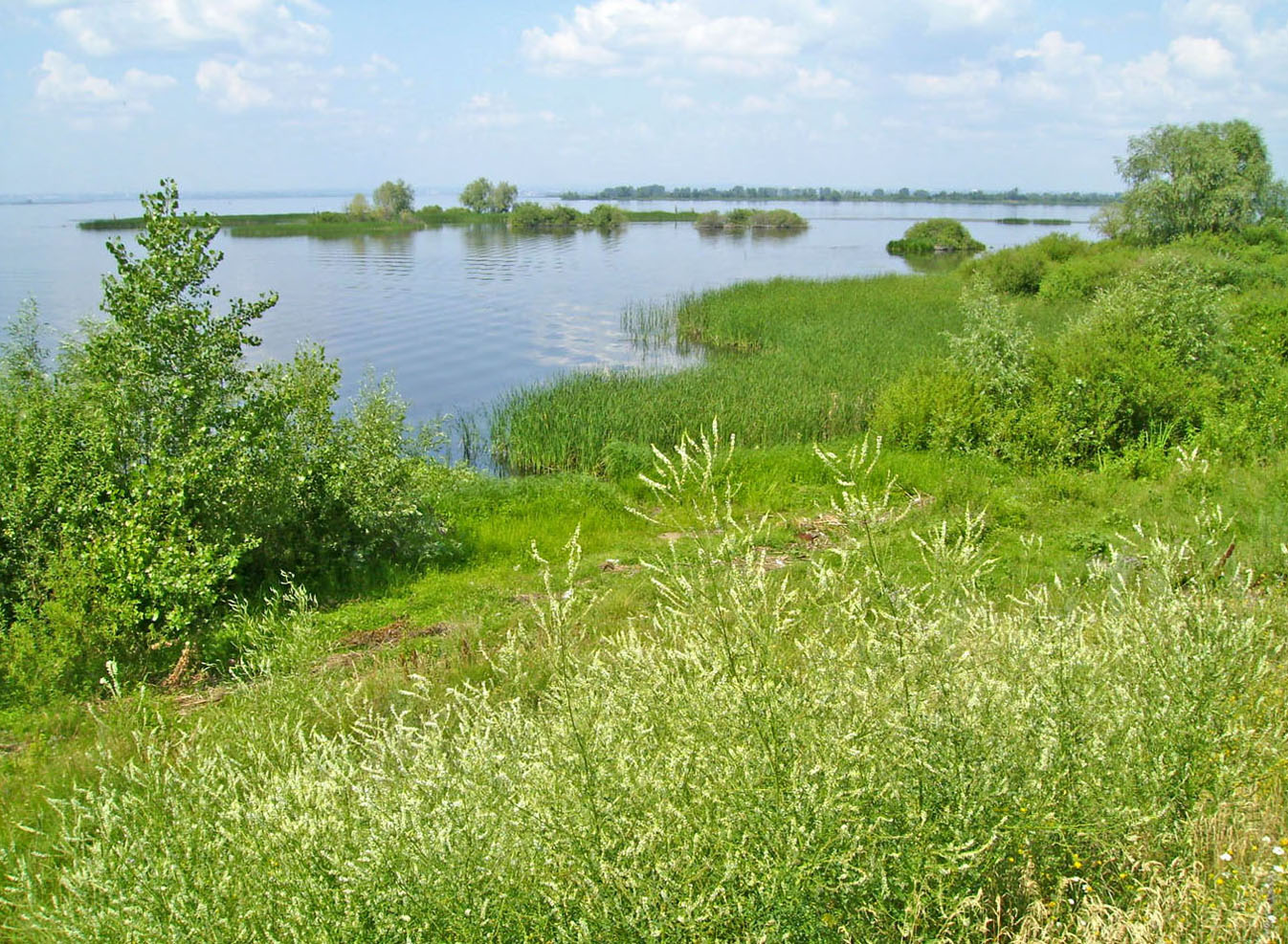 Саратовское водохранилище, изображение ландшафта.