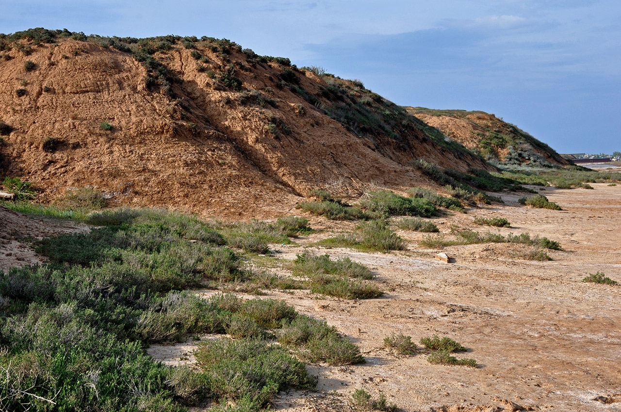 Кордонная балка, image of landscape/habitat.