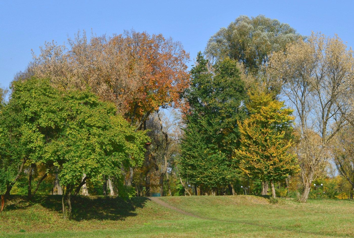 Луганск, image of landscape/habitat.