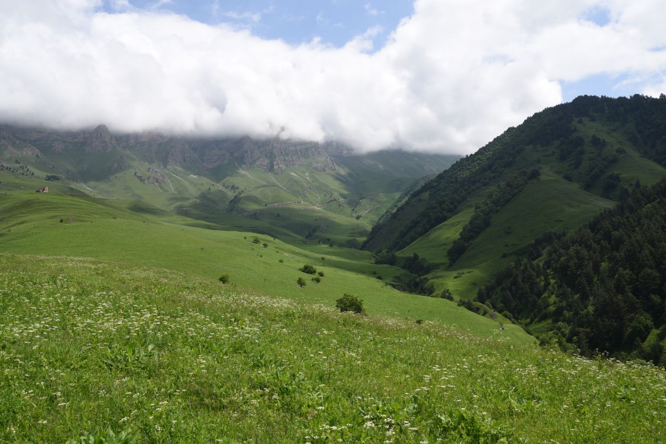 Окрестности урочища Меллер, image of landscape/habitat.