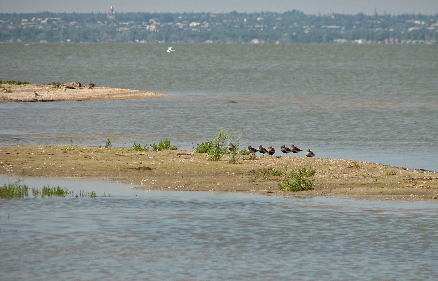 Белосарайская коса, image of landscape/habitat.