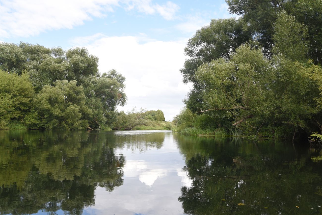 Устье реки Кочуровка, image of landscape/habitat.