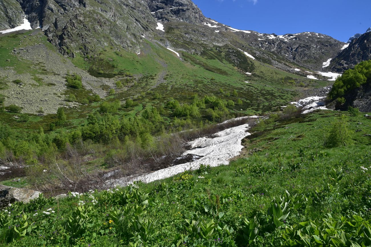 Река Когутайка, image of landscape/habitat.