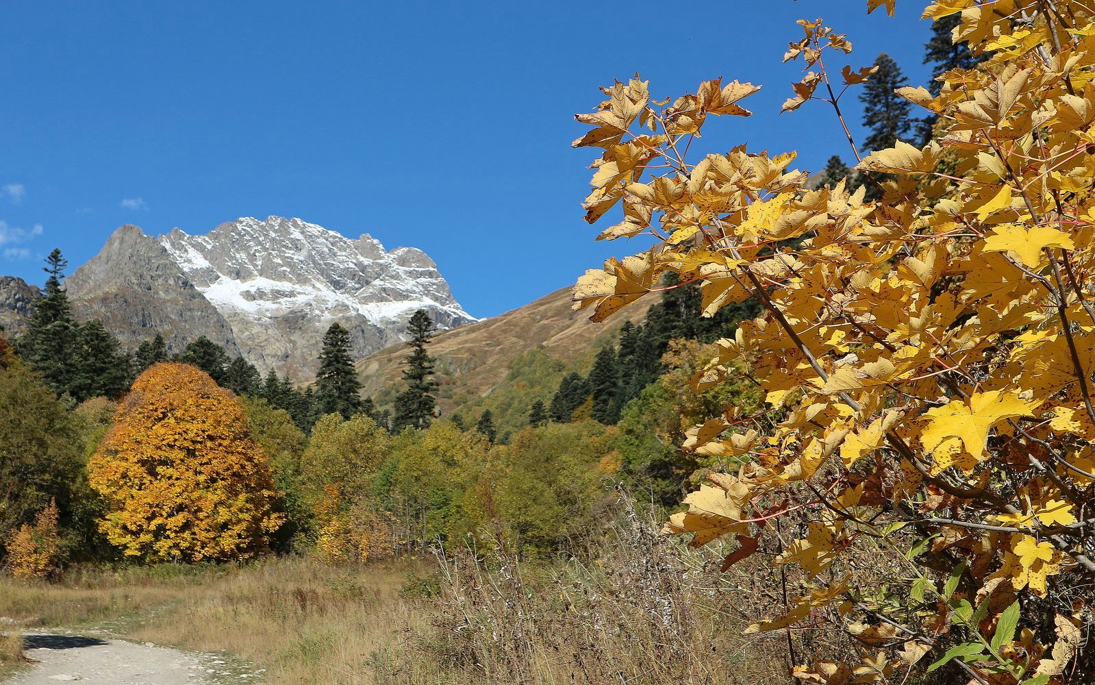 Алибек, image of landscape/habitat.