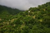 Image of landscape