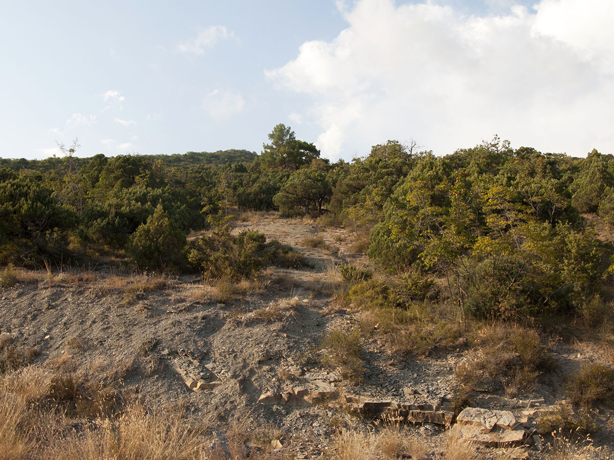 Широкая Балка, image of landscape/habitat.