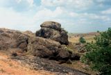 Правый берег Кальмиуса напротив Красного Октября, image of landscape/habitat.