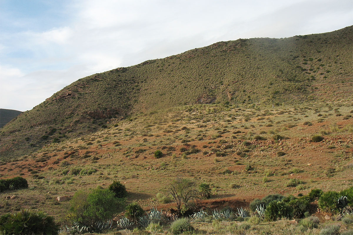 Majada Redonda, image of landscape/habitat.