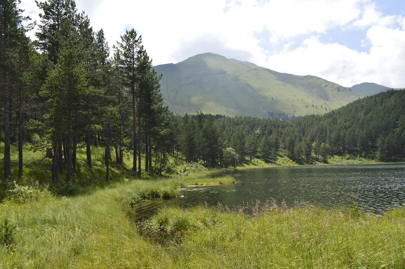 Озеро Хурла-Кёль, image of landscape/habitat.