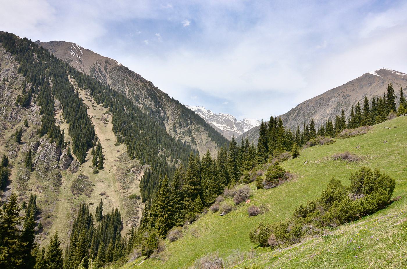 Семёновское ущелье, изображение ландшафта.