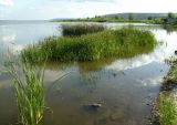 Саратовское водохранилище, изображение ландшафта.