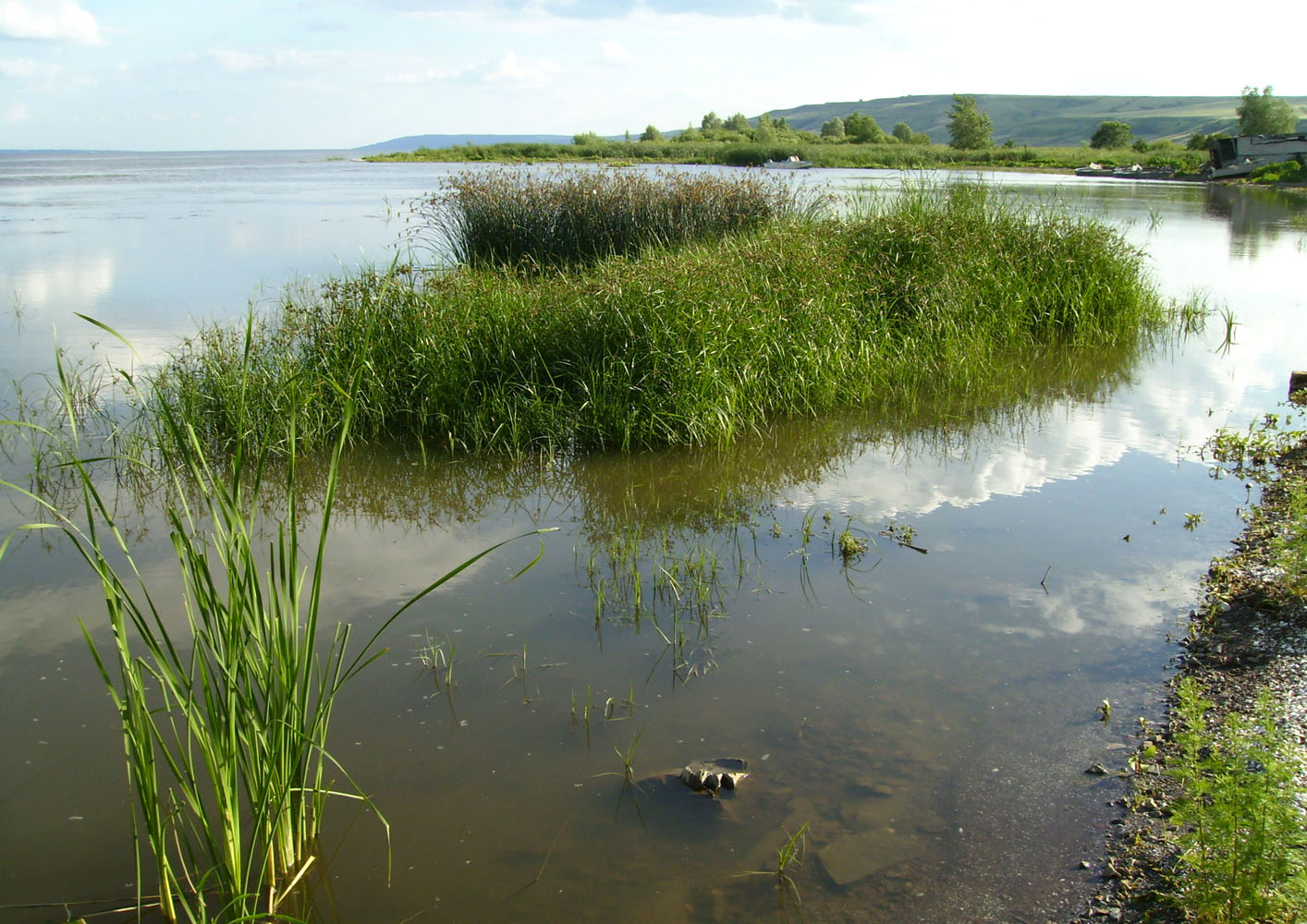 Саратовское водохранилище, изображение ландшафта.