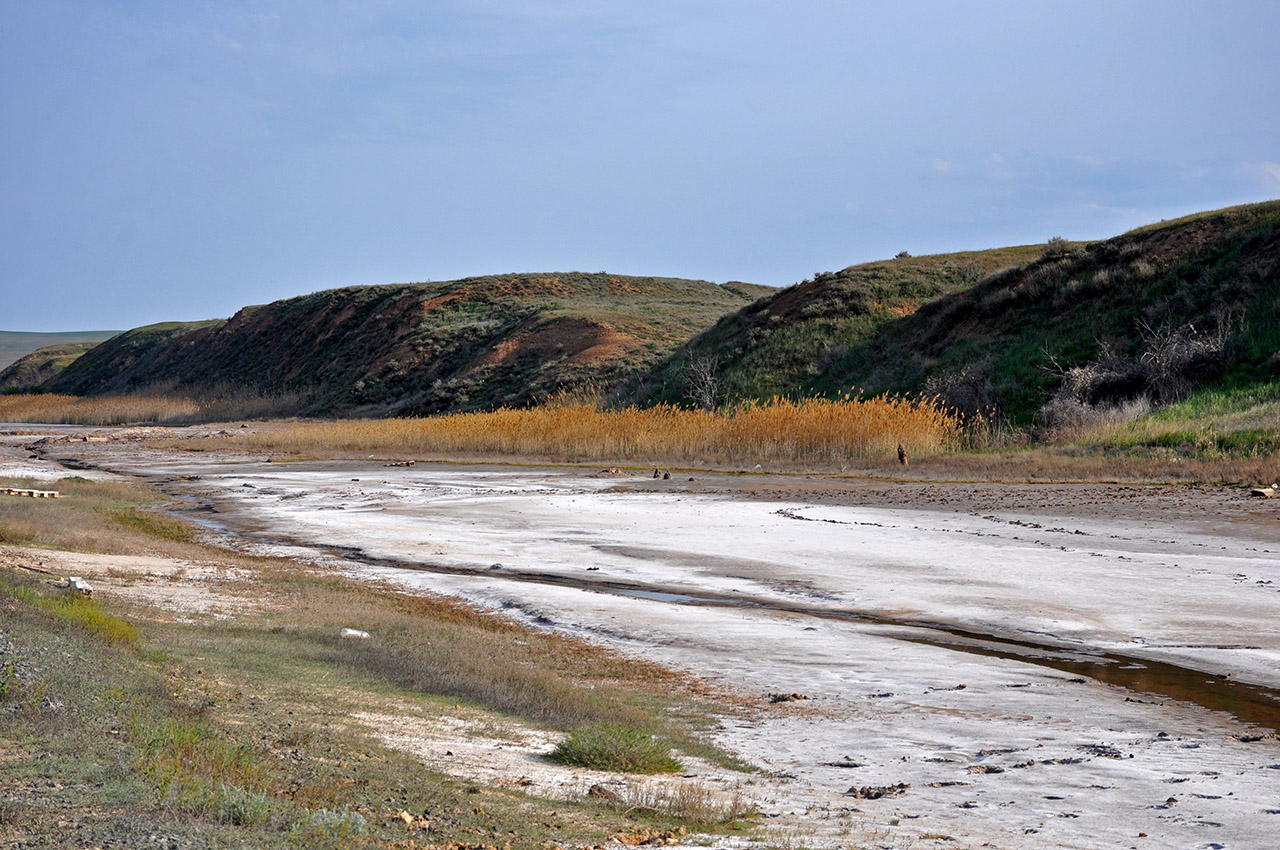 Кордонная балка, image of landscape/habitat.