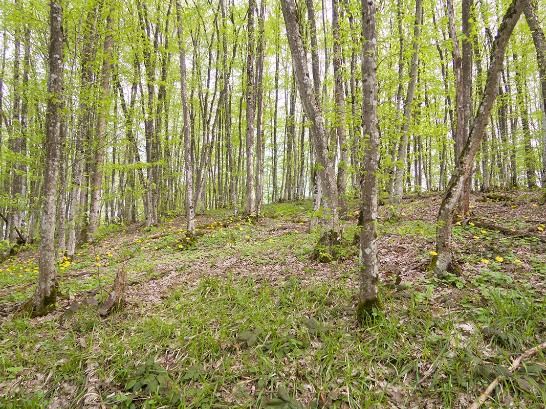 Глубокий Яр, image of landscape/habitat.