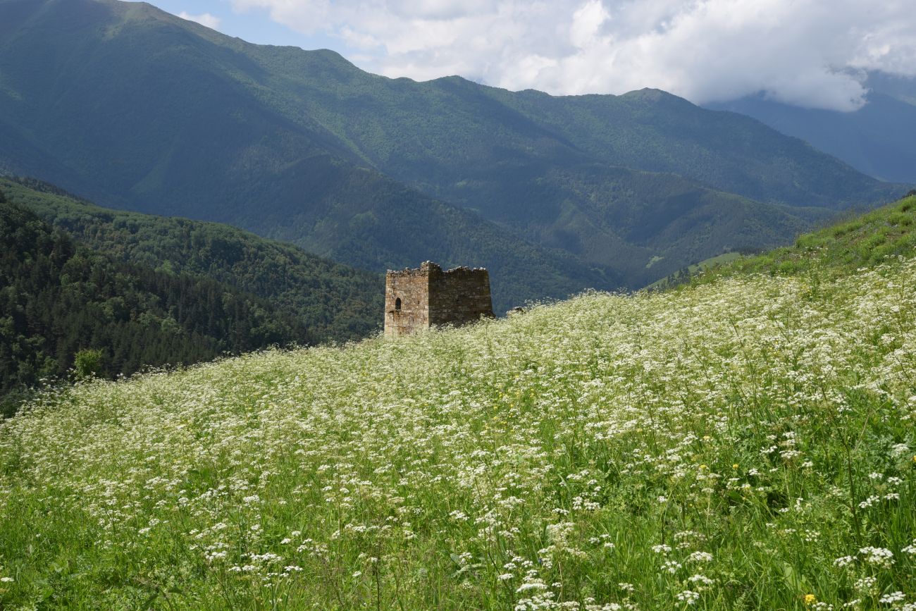 Окрестности урочища Меллер, image of landscape/habitat.