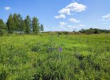 Верховья Каспли, image of landscape/habitat.