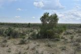 Тудакуль, image of landscape/habitat.