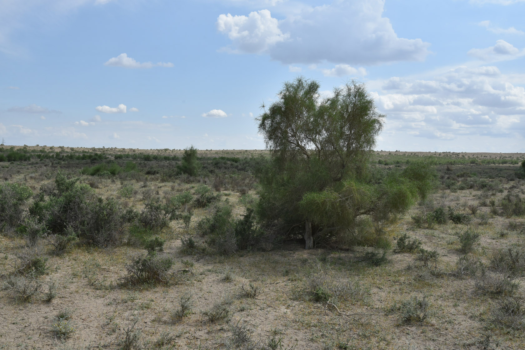 Тудакуль, image of landscape/habitat.