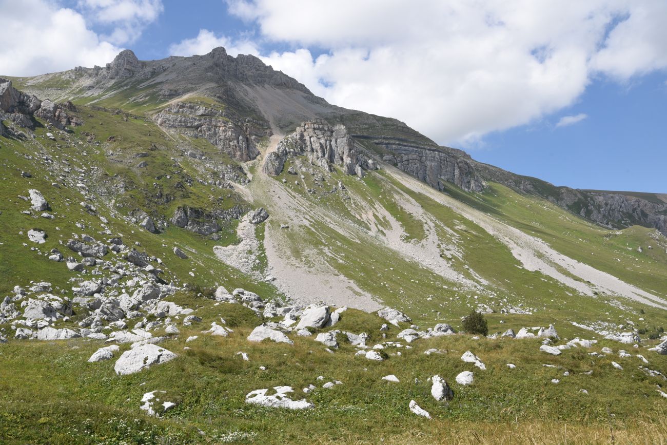 Оштен, image of landscape/habitat.
