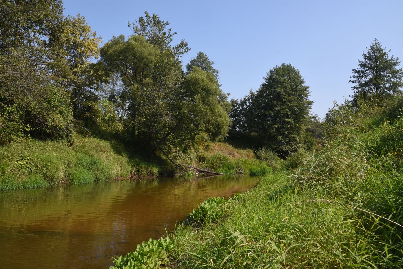Устье ручья Полянка, image of landscape/habitat.
