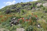 Image of landscape
