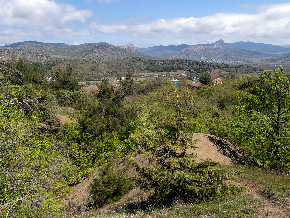 Перчем, image of landscape/habitat.