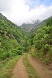 Image of landscape