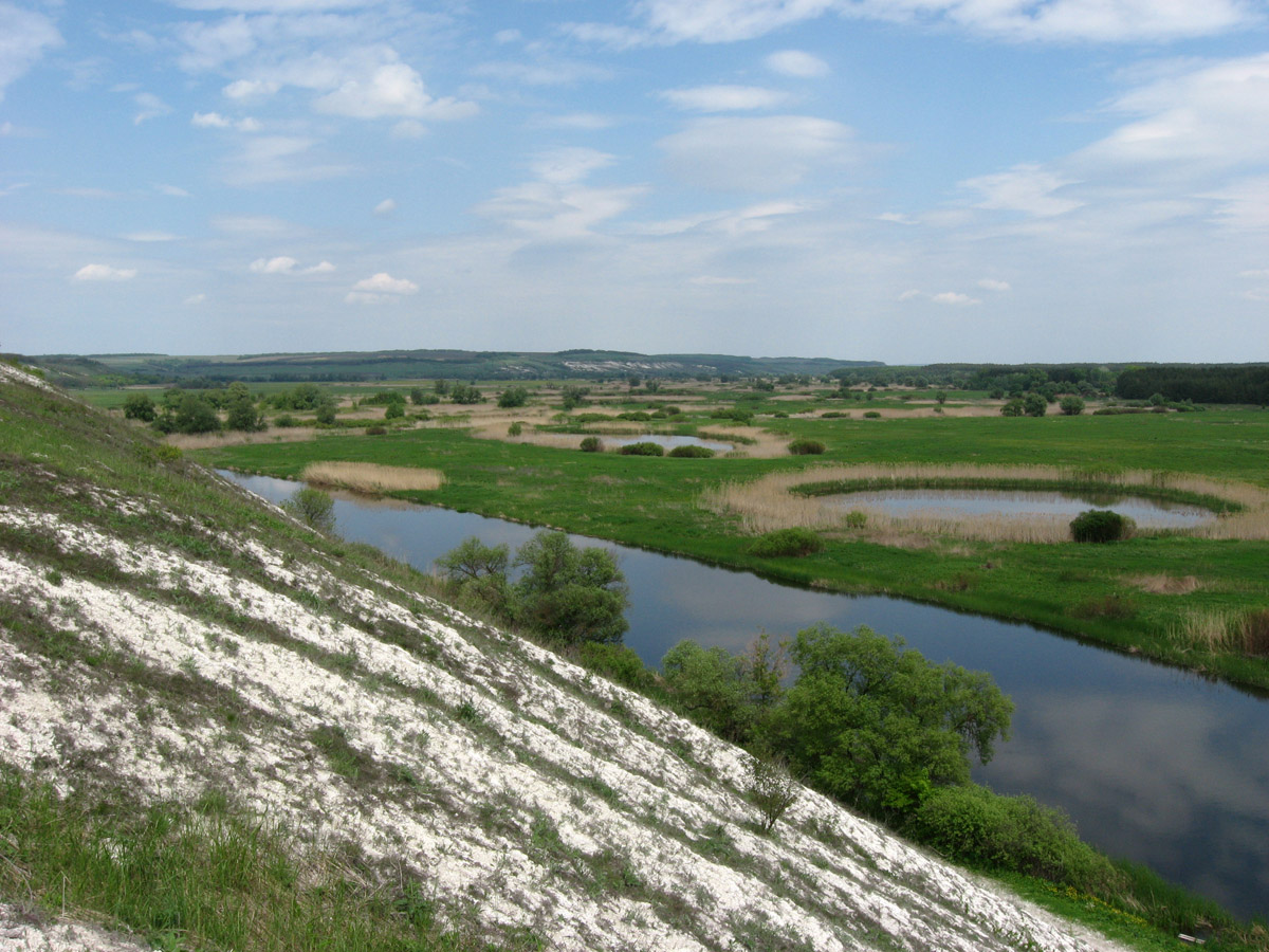 Купянск, image of landscape/habitat.